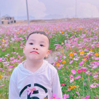 vanthien9x